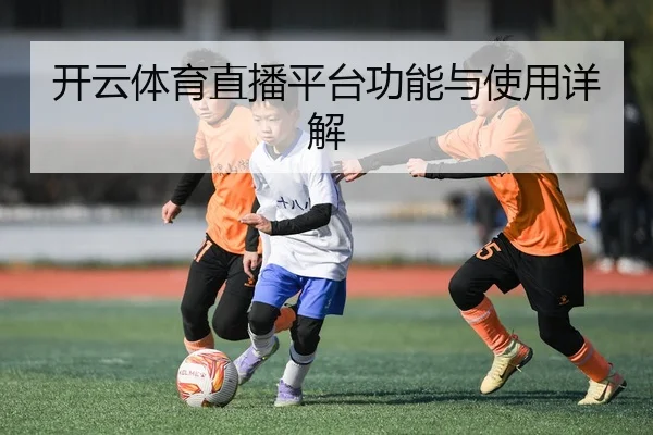 开云体育直播平台功能与使用详解