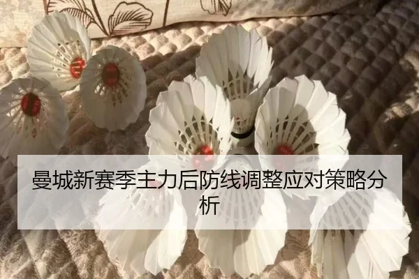 曼城新赛季主力后防线调整应对策略分析